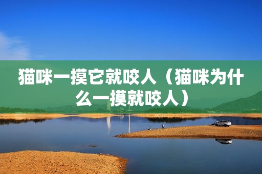 猫咪一摸它就咬人（猫咪为什么一摸就咬人）
