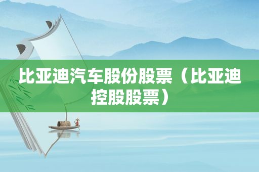 比亚迪汽车股份股票（比亚迪控股股票）