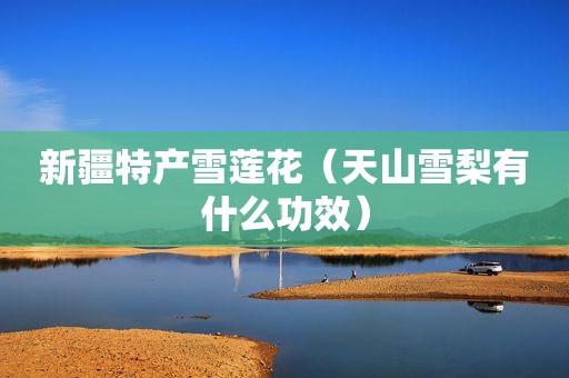 新疆特产雪莲花（天山雪梨有什么功效）