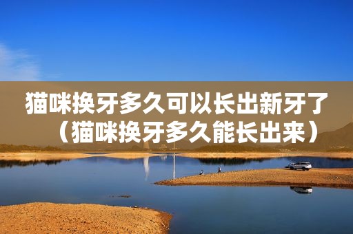 猫咪换牙多久可以长出新牙了（猫咪换牙多久能长出来）