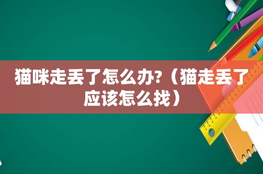 猫咪走丢了怎么办?（猫走丢了应该怎么找）