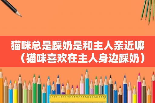 猫咪总是踩奶是和主人亲近嘛（猫咪喜欢在主人身边踩奶）