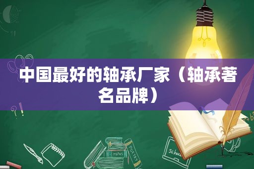 中国最好的轴承厂家（轴承著名品牌）