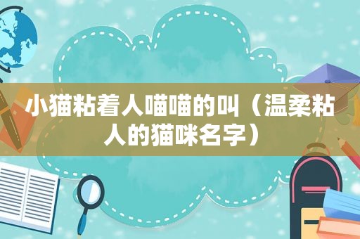 小猫粘着人喵喵的叫（温柔粘人的猫咪名字）