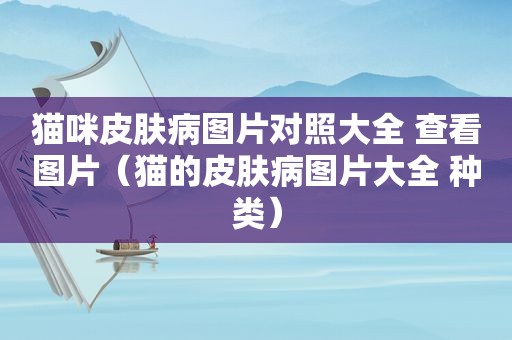 猫咪皮肤病图片对照大全 查看图片（猫的皮肤病图片大全 种类）