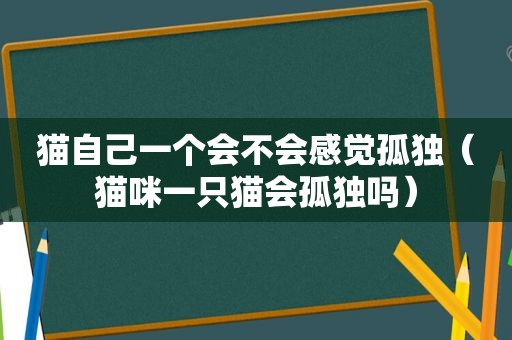 猫自己一个会不会感觉孤独（猫咪一只猫会孤独吗）