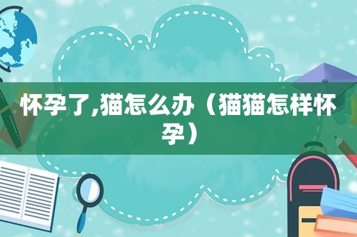 怀孕了,猫怎么办（猫猫怎样怀孕）