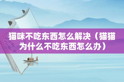 猫咪不吃东西怎么解决（猫猫为什么不吃东西怎么办）