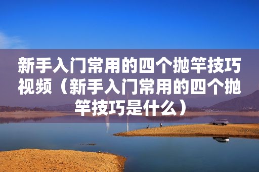 新手入门常用的四个抛竿技巧视频（新手入门常用的四个抛竿技巧是什么）