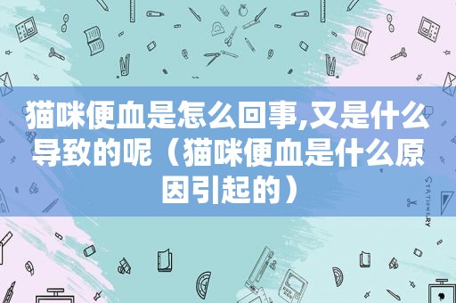 猫咪便血是怎么回事,又是什么导致的呢（猫咪便血是什么原因引起的）