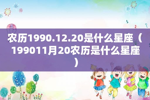 农历1990.12.20是什么星座（199011月20农历是什么星座）