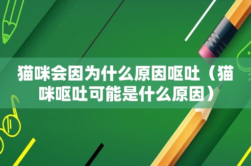 猫咪会因为什么原因呕吐（猫咪呕吐可能是什么原因）