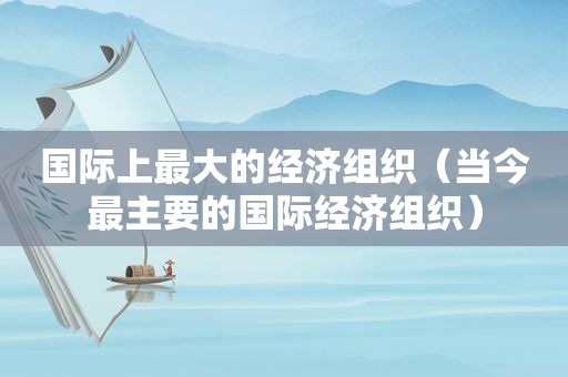 国际上最大的经济组织（当今最主要的国际经济组织）
