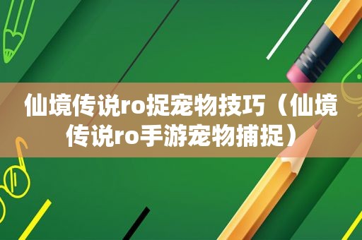 仙境传说ro捉宠物技巧（仙境传说ro手游宠物捕捉）
