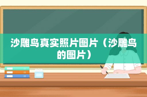 沙雕鸟真实照片图片（沙雕鸟的图片）