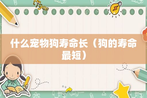 什么宠物狗寿命长（狗的寿命最短）