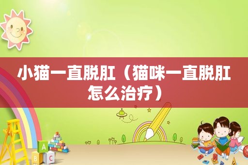 小猫一直脱肛（猫咪一直脱肛怎么治疗）