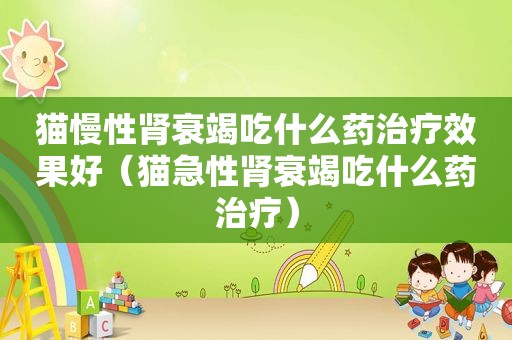 猫慢性肾衰竭吃什么药治疗效果好（猫急性肾衰竭吃什么药治疗）