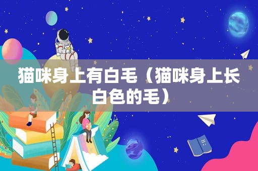 猫咪身上有白毛（猫咪身上长白色的毛）