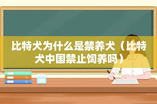 比特犬为什么是禁养犬（比特犬中国禁止饲养吗）