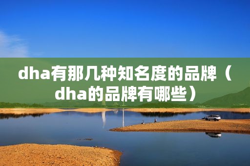 dha有那几种知名度的品牌（dha的品牌有哪些）