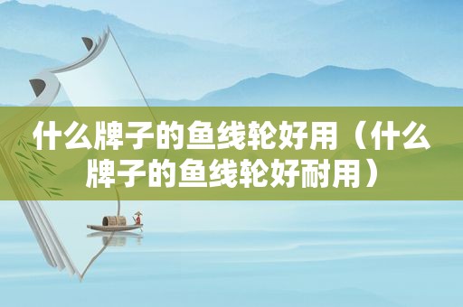 什么牌子的鱼线轮好用（什么牌子的鱼线轮好耐用）