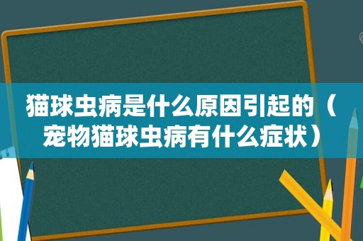 猫球虫病是什么原因引起的（宠物猫球虫病有什么症状）