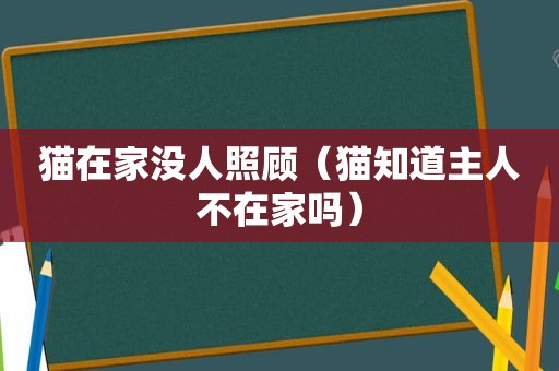 猫在家没人照顾（猫知道主人不在家吗）