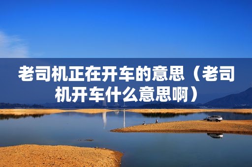  *** 正在开车的意思（ *** 开车什么意思啊）