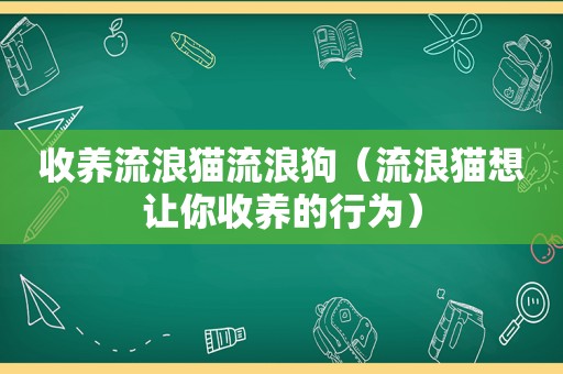 收养流浪猫流浪狗（流浪猫想让你收养的行为）