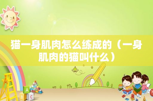 猫一身肌肉怎么练成的（一身肌肉的猫叫什么）