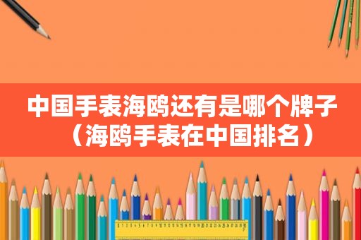 中国手表海鸥还有是哪个牌子（海鸥手表在中国排名）