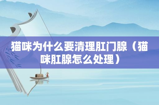 猫咪为什么要清理 *** 腺（猫咪肛腺怎么处理）