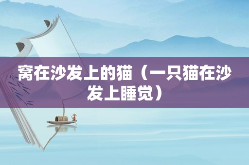 窝在沙发上的猫（一只猫在沙发上睡觉）