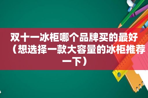 双十一冰柜哪个品牌买的最好（想选择一款大容量的冰柜推荐一下）