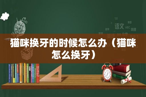 猫咪换牙的时候怎么办（猫咪怎么换牙）