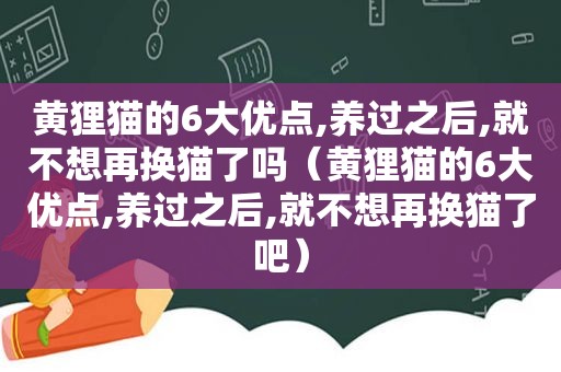 黄狸猫的6大优点,养过之后,就不想再换猫了吗（黄狸猫的6大优点,养过之后,就不想再换猫了吧）