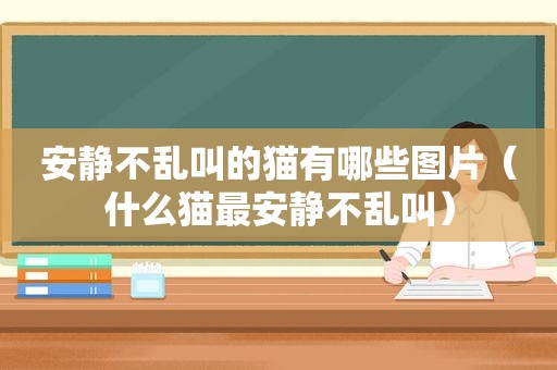 安静不乱叫的猫有哪些图片（什么猫最安静不乱叫）