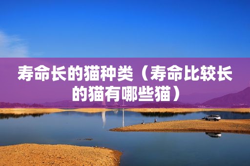 寿命长的猫种类（寿命比较长的猫有哪些猫）