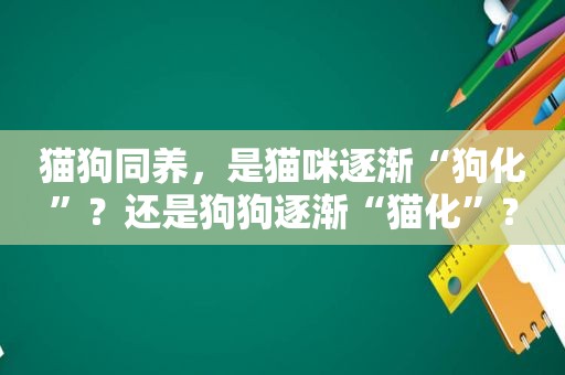 猫狗同养，是猫咪逐渐“狗化”？还是狗狗逐渐“猫化”？