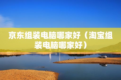 京东组装电脑哪家好（淘宝组装电脑哪家好）