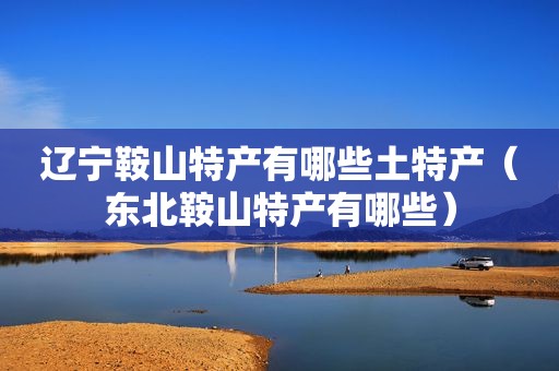 辽宁鞍山特产有哪些土特产（东北鞍山特产有哪些）