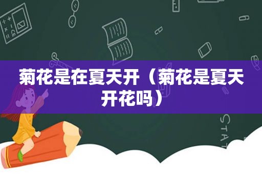 菊花是在夏天开（菊花是夏天开花吗）