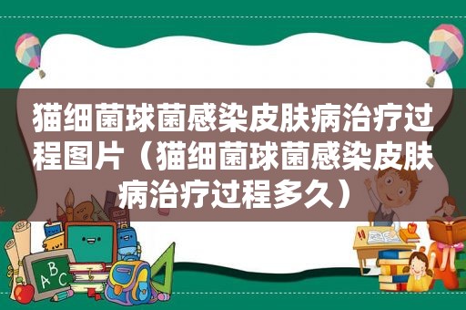 猫细菌球菌感染皮肤病治疗过程图片（猫细菌球菌感染皮肤病治疗过程多久）