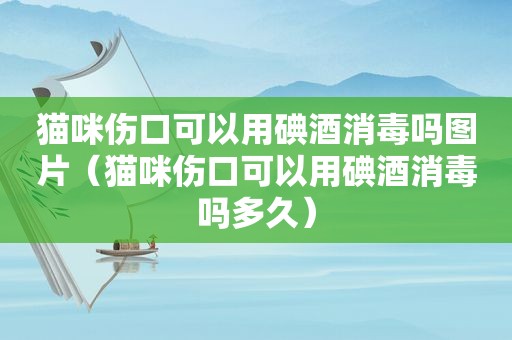 猫咪伤口可以用碘酒消毒吗图片（猫咪伤口可以用碘酒消毒吗多久）