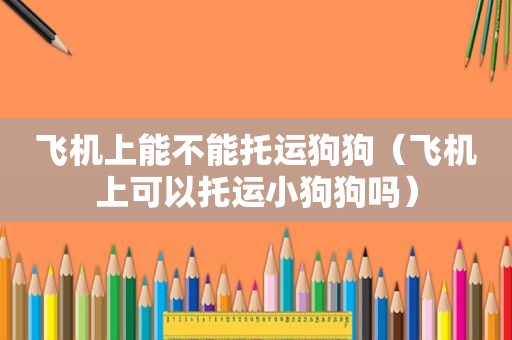 飞机上能不能托运狗狗（飞机上可以托运小狗狗吗）