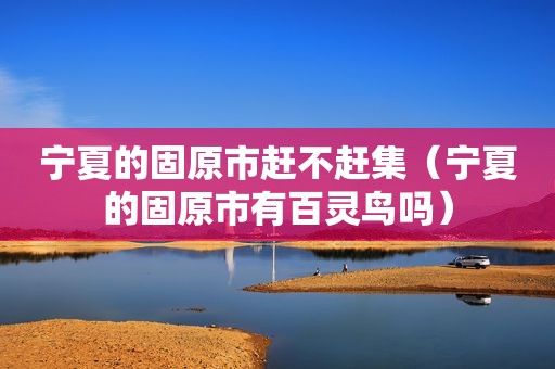宁夏的固原市赶不赶集（宁夏的固原市有百灵鸟吗）