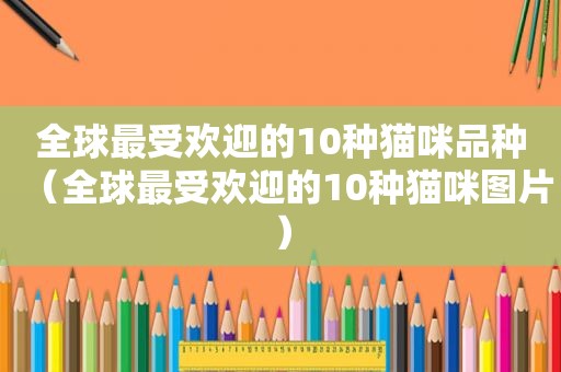 全球最受欢迎的10种猫咪品种（全球最受欢迎的10种猫咪图片）