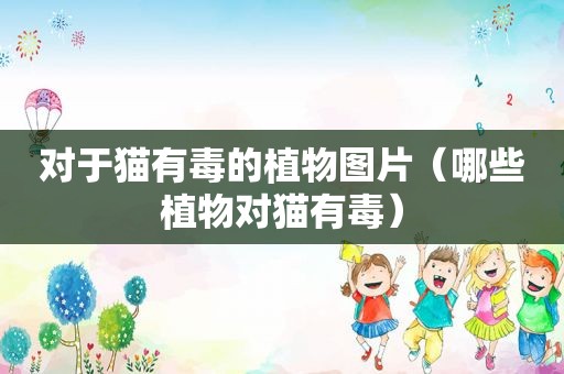 对于猫有毒的植物图片（哪些植物对猫有毒）