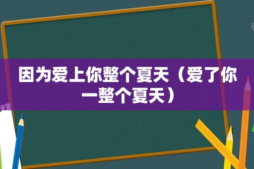 因为爱上你整个夏天（爱了你一整个夏天）